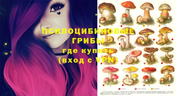 круглые Алексеевка