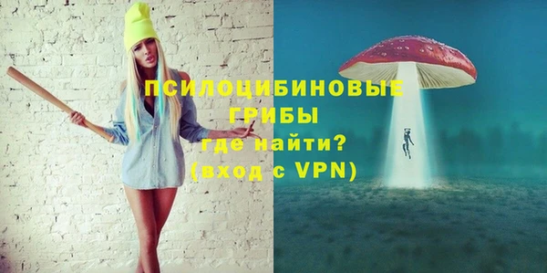 метадон Алексин