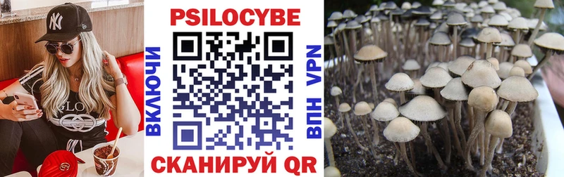 Галлюциногенные грибы Psilocybe  Сосновоборск 