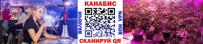 Шишки марихуана OG Kush  нарко площадка наркотические препараты  Сосновоборск  где можно купить наркотик 